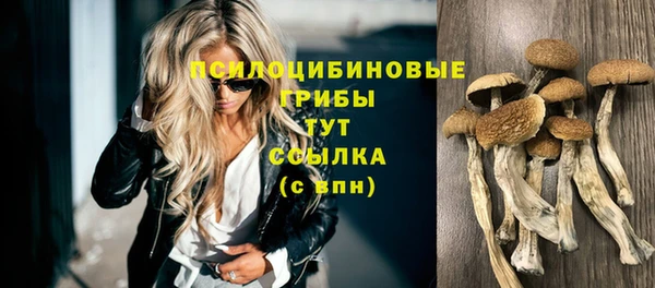 экстази Алексин