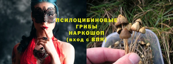 прущая мука Алзамай