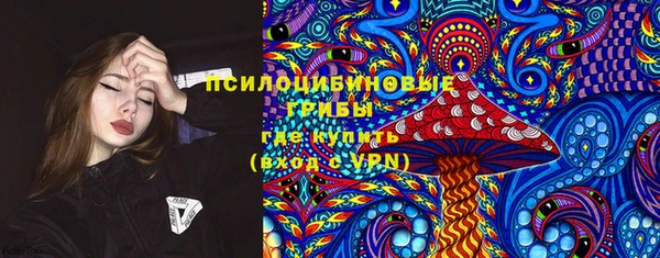 прущая мука Алзамай