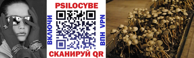 Галлюциногенные грибы Psilocybe  Краснослободск 